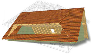 3D Dach